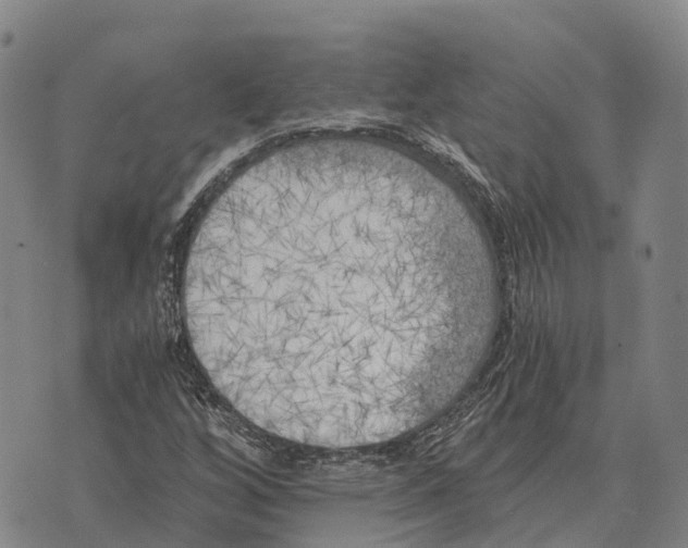 X0000073721256200608311811