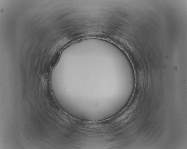 X0000073721257200608311811