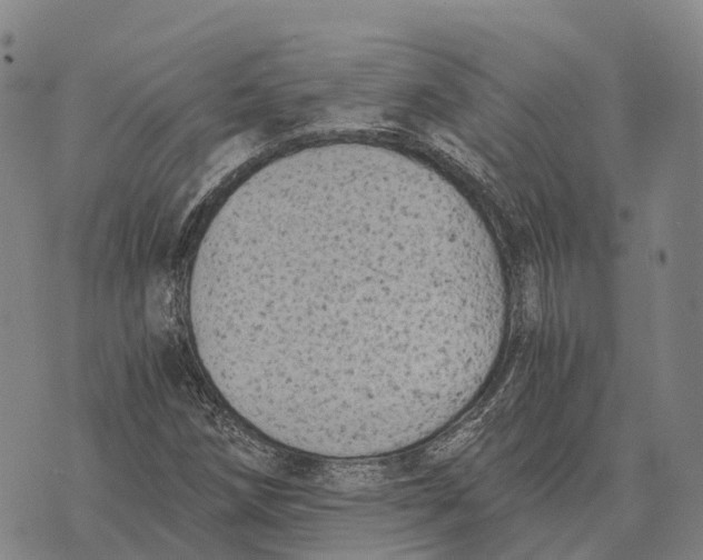 X0000073721258200608311811