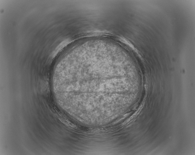 X0000073721259200608311811