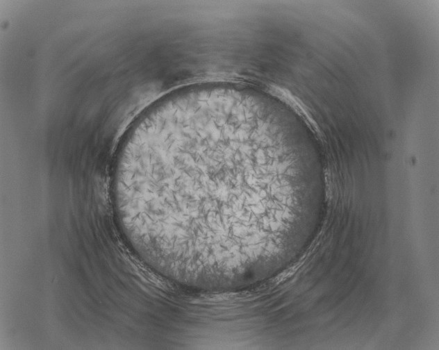 X0000073721260200608311811