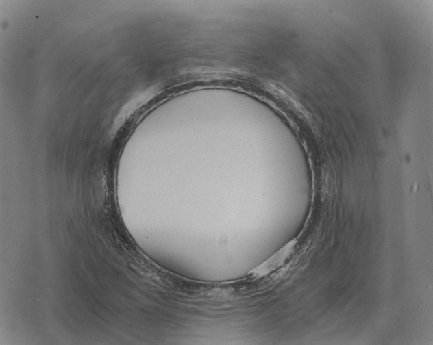 X0000073721261200608311811