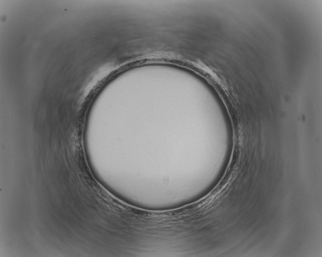 X0000073721263200608311811