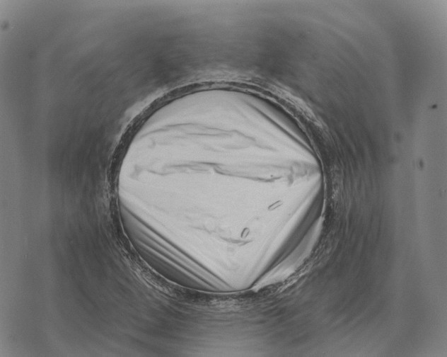 X0000073721264200608311811