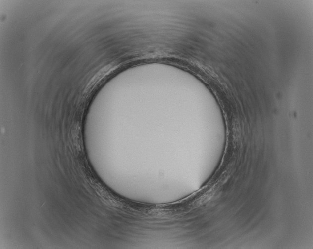 X0000073721265200608311811