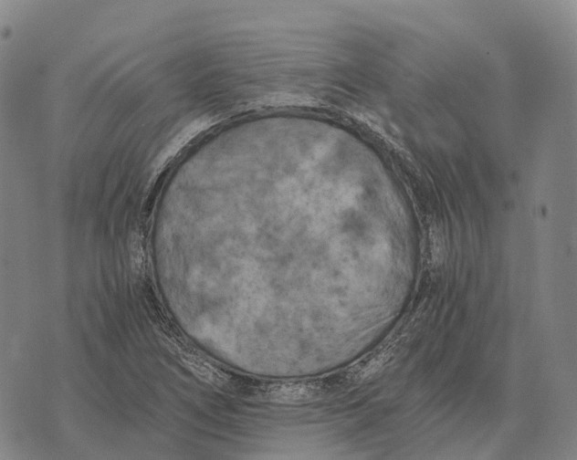 X0000073721266200608311811