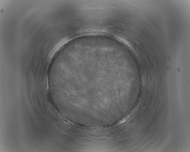 X0000073721267200608311810