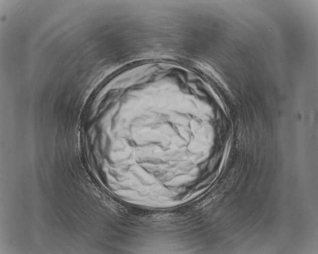 X0000073721268200608311810