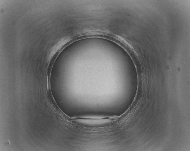 X0000073721269200608311810