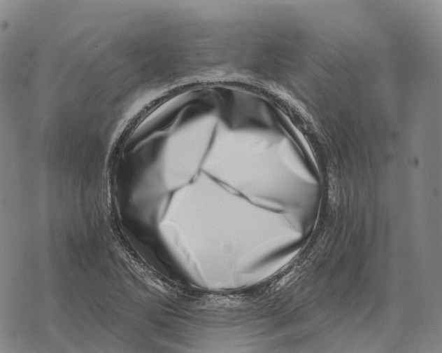 X0000073721270200608311810