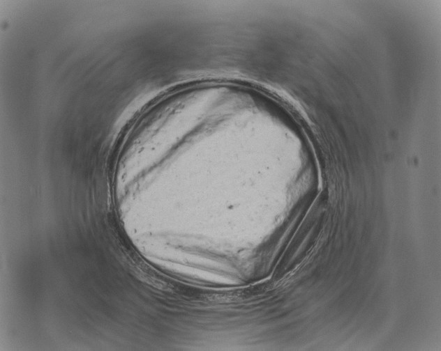 X0000073721271200608311810