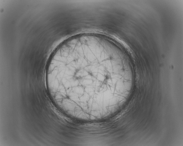 X0000073721272200608311810