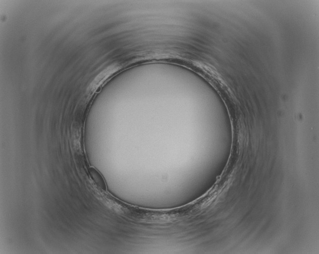 X0000073721273200608311810