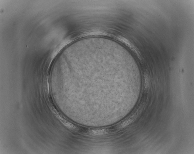 X0000073721274200608311810