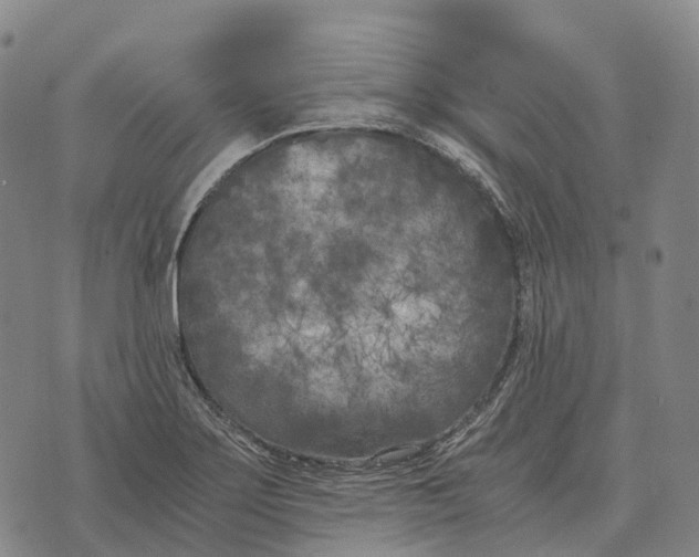 X0000073721275200608311810