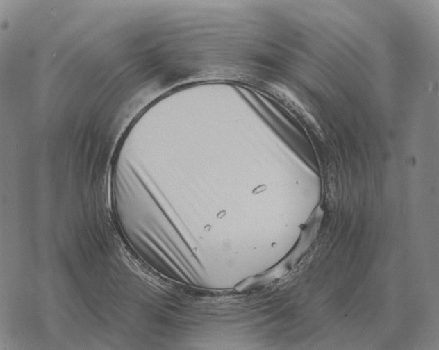 X0000073721276200608311810