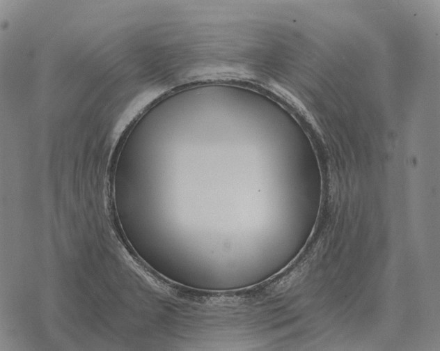 X0000073721277200608311810