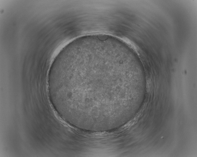 X0000073721279200608311810