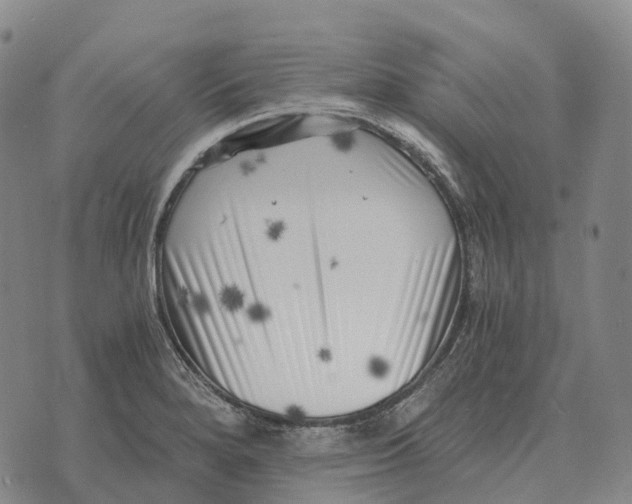 X0000073721280200608311810