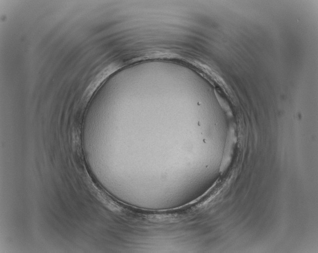 X0000073721281200608311810