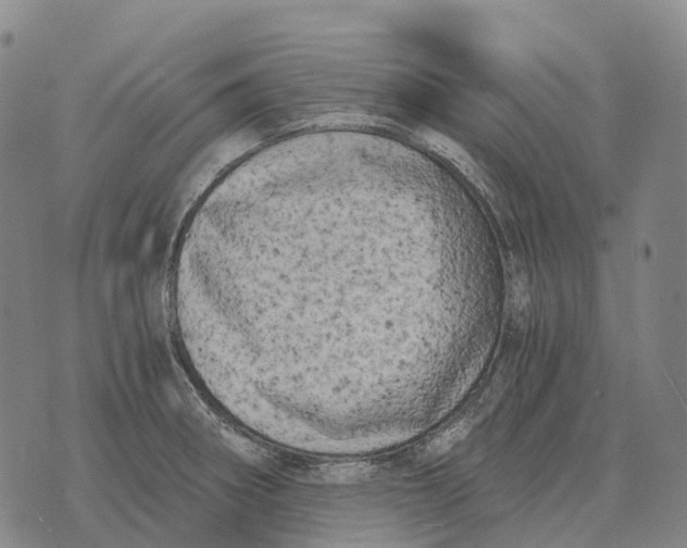 X0000073721282200608311810