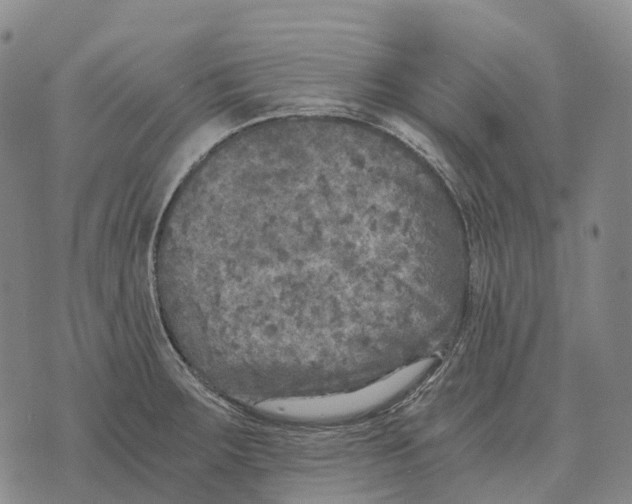 X0000073721283200608311810