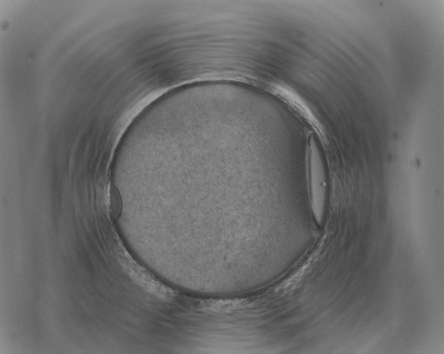 X0000073721284200608311810