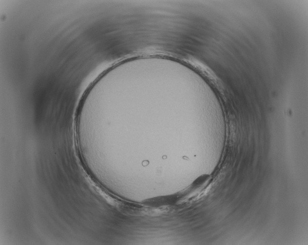 X0000073721286200608311810