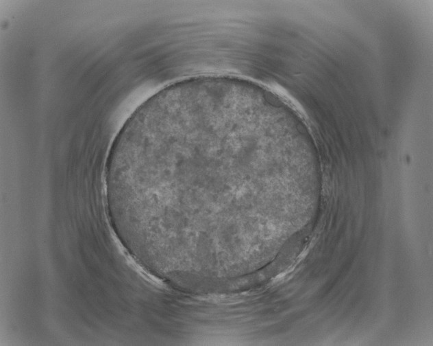 X0000073721287200608311810