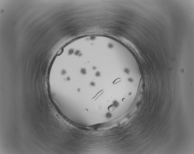 X0000073721288200608311810