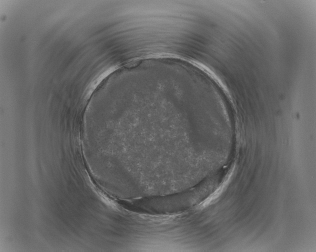 X0000073721289200608311810