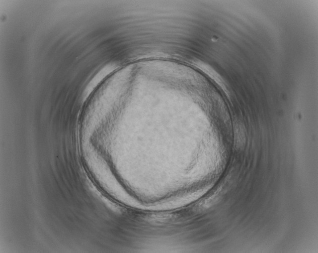 X0000073721290200608311810