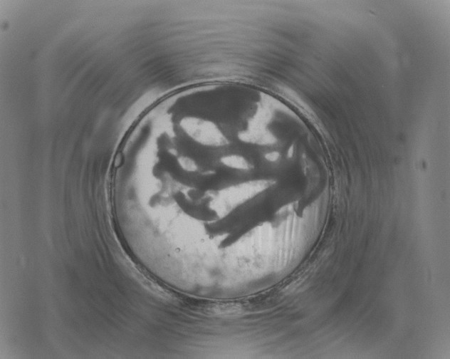 X0000073721291200608311810