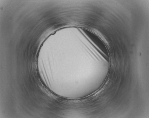 X0000073721292200608311810