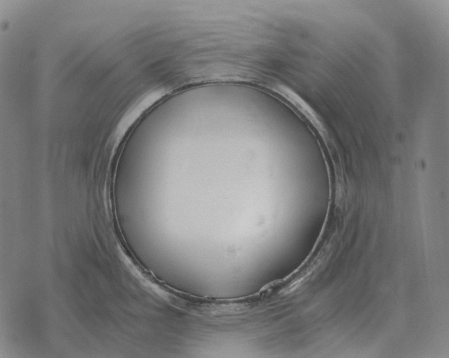 X0000073721293200608311810