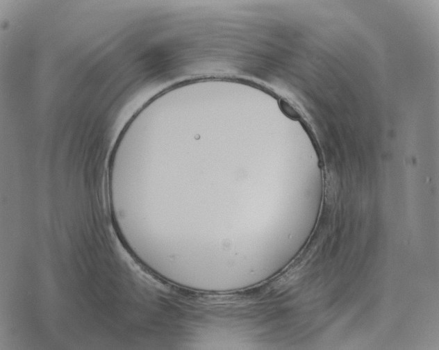 X0000073721295200608311810