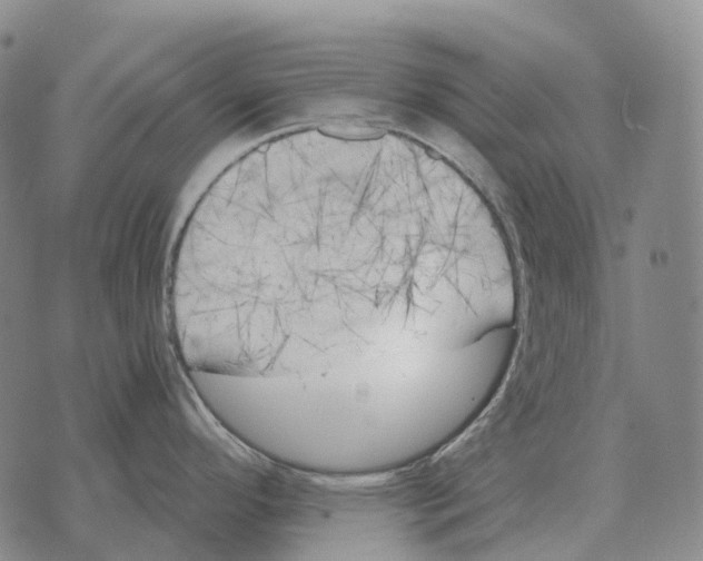 X0000073721296200608311810