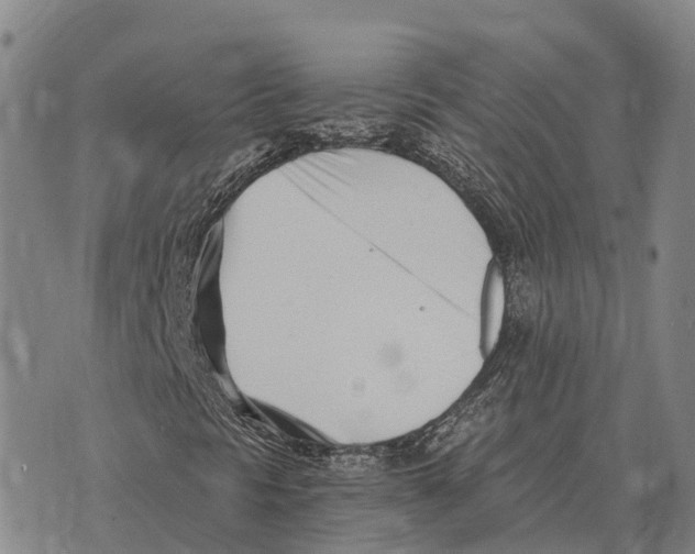 X0000073721297200608311809