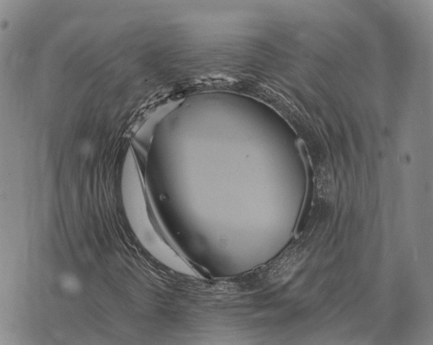 X0000073721298200608311809