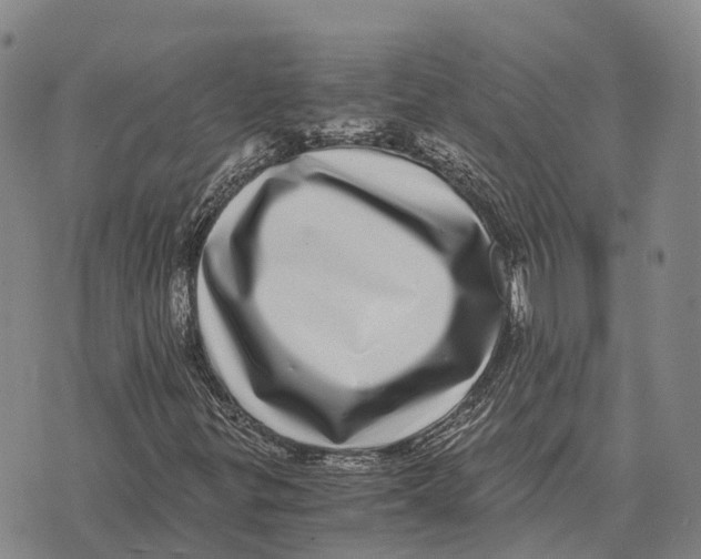 X0000073721299200608311809