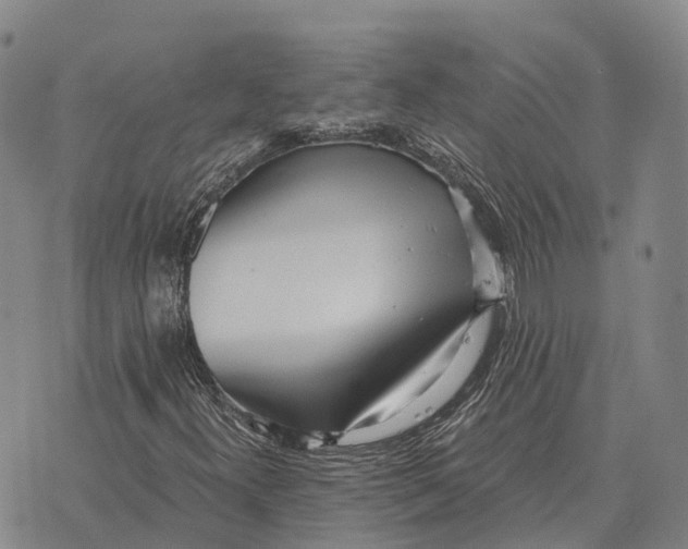 X0000073721300200608311809