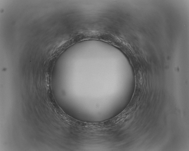 X0000073721301200608311809