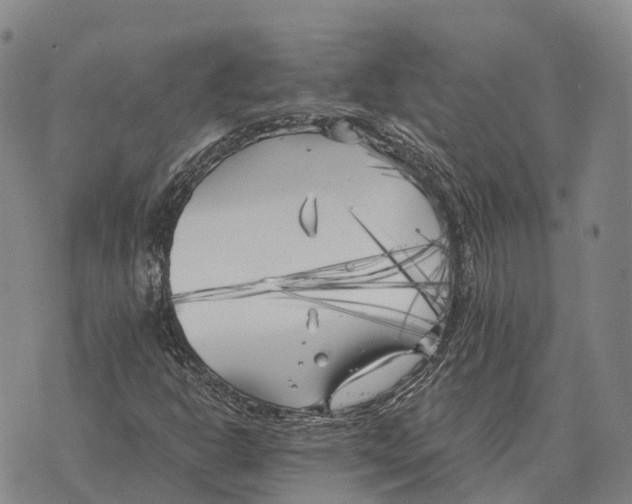 X0000073721302200608311809