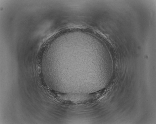 X0000073721303200608311809