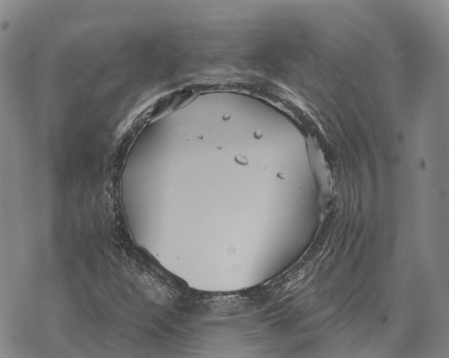 X0000073721304200608311809