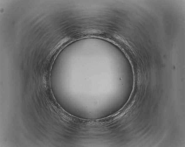 X0000073721305200608311809