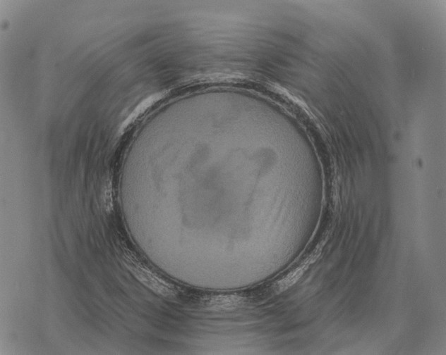 X0000073721306200608311809