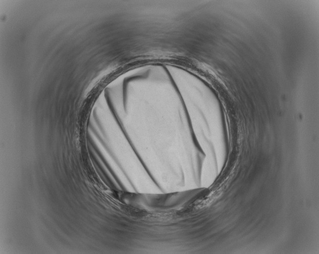 X0000073721307200608311809