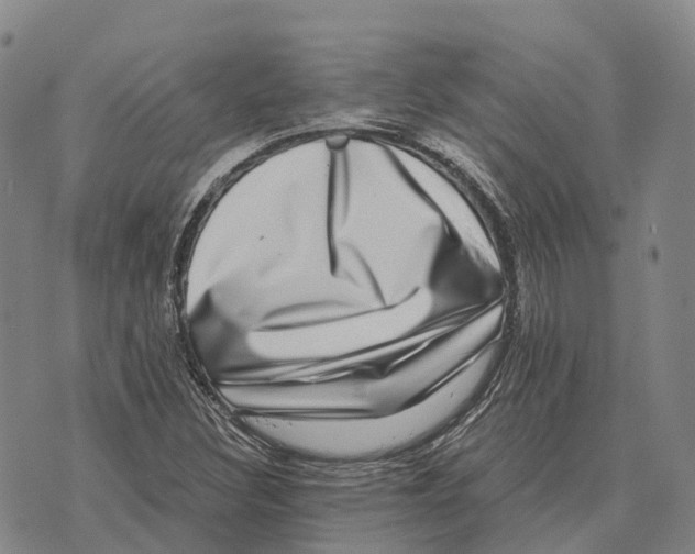 X0000073721308200608311809