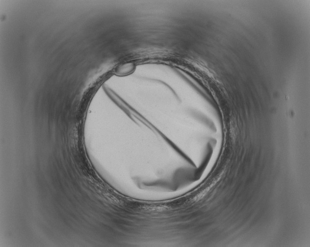 X0000073721309200608311809